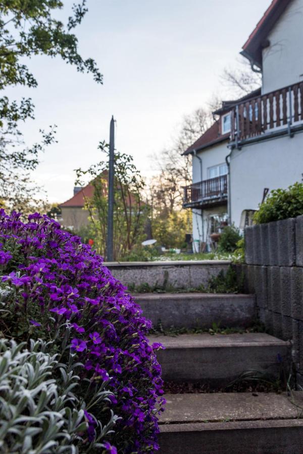 Gaestehaus Bechtloff Meißen Exterior foto